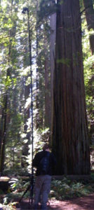 George at Jedediah Smith Redwoods State Park